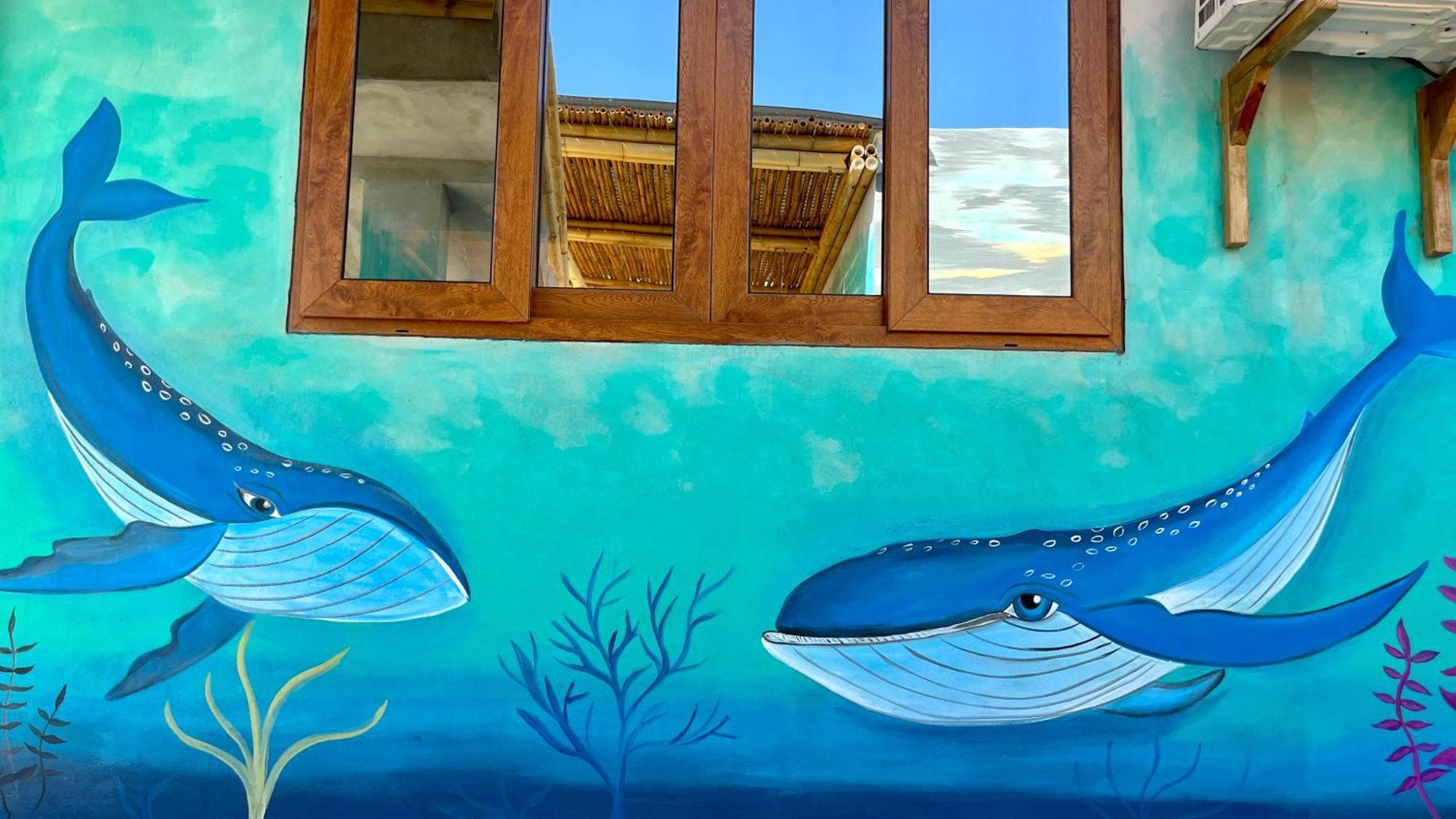 Shanti Surf Camp El Paredon Buena Vista Exterior photo